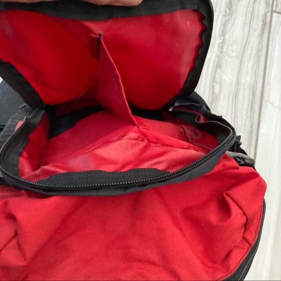 SOLD The North Face backpack. EUC - Picture 2 of 4